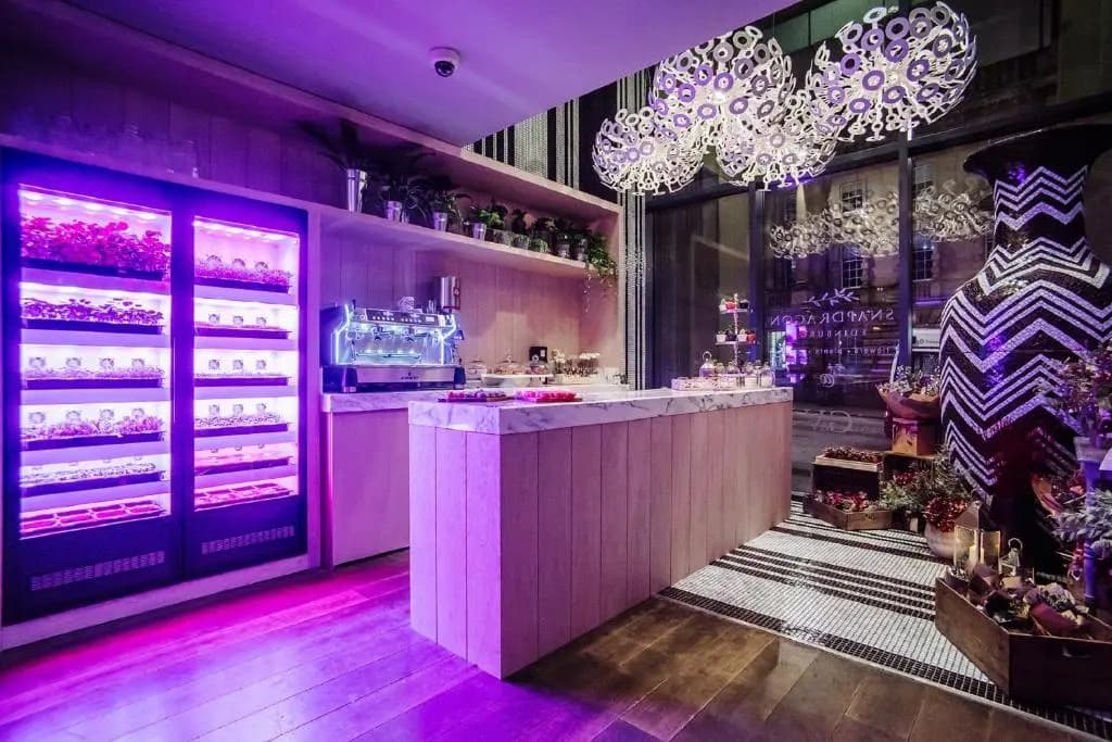Radisson Collection Hotel, Royal Mile Edinburgh - photo 13