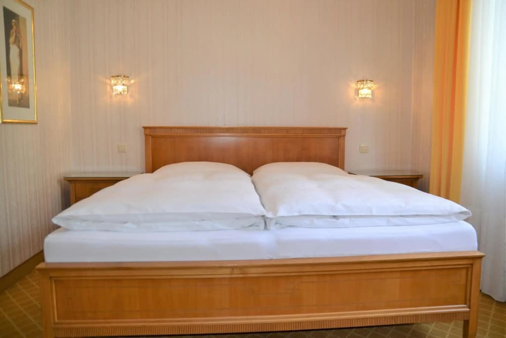 Hotel an der Wien - photo 3