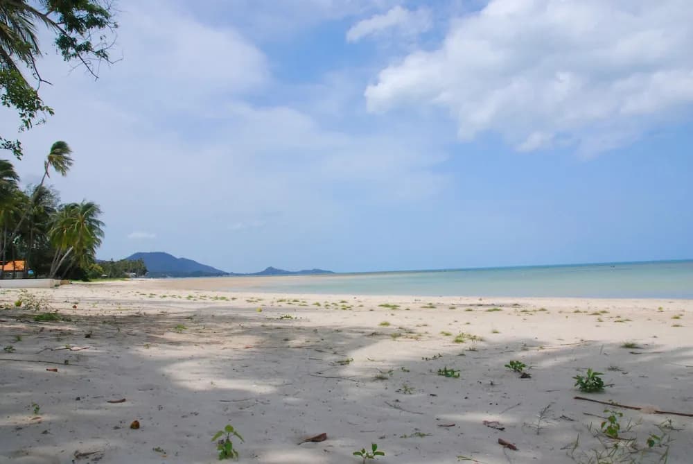 Laura's Guest House - adult only - - photo 25