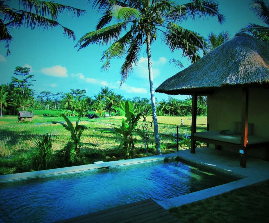 Temuku Ubud Villas - photo 15