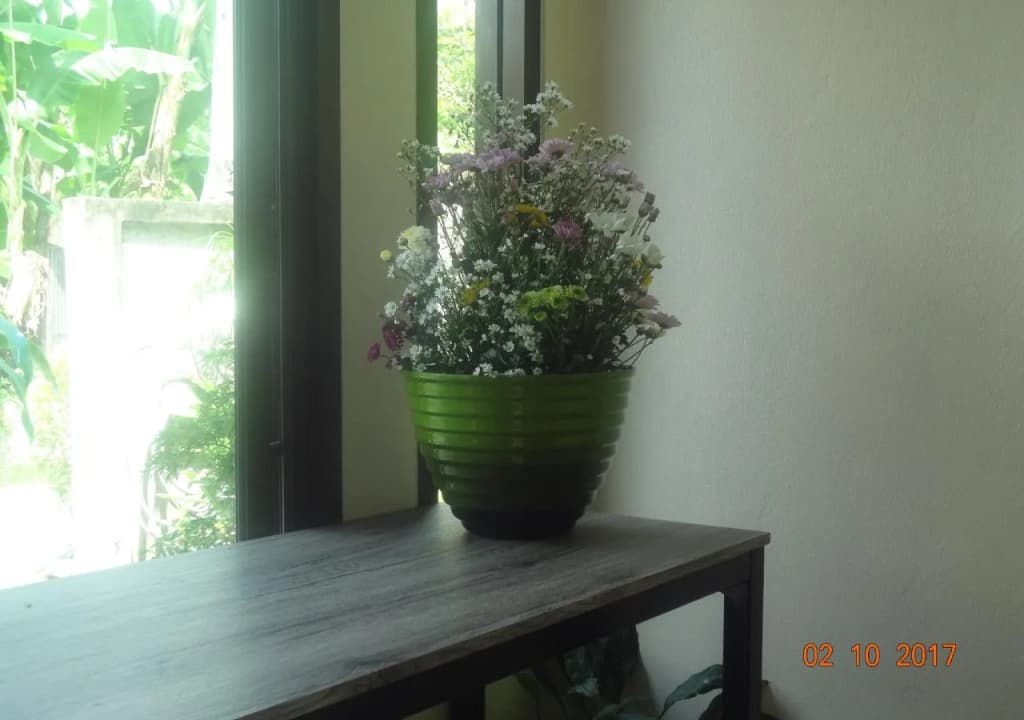 Sarabu Guest House - photo 7