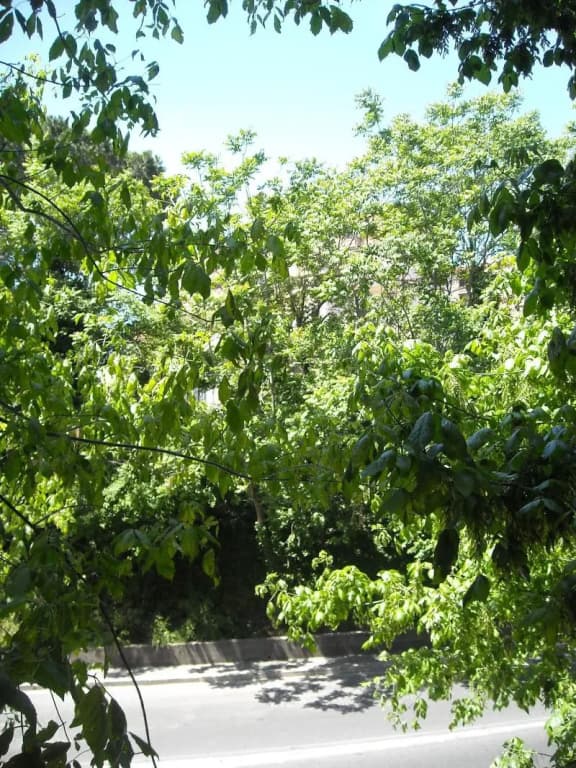 Il Granello di Senape - photo 15
