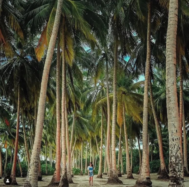Suffix Retreat - Stay, Dive & Explore Fuvahmulah - photo 18