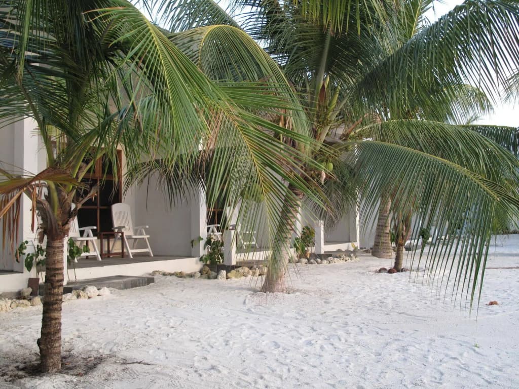 Lagoon View Maldives - photo 18