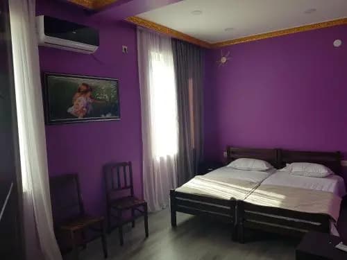 Hotel Dighomi - photo 5