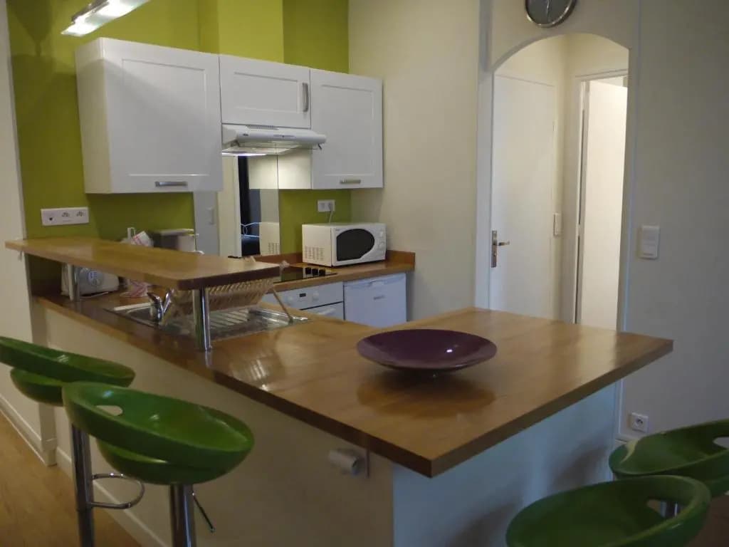 Barla 3 - a Spacious One Bedroom Apartment Near Place Garibaldi - photo 7