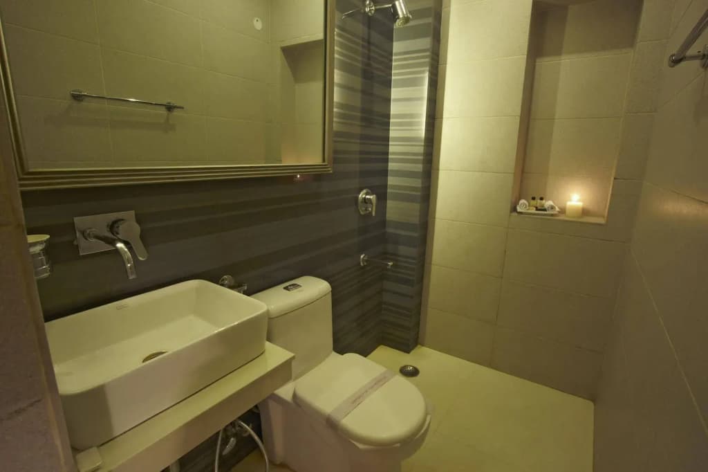 Hotel Ajanta - photo 9