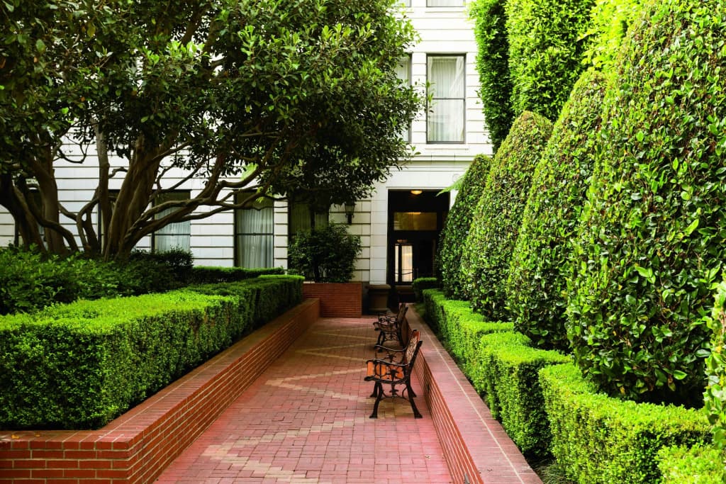 The Ritz-Carlton, San Francisco - photo 34