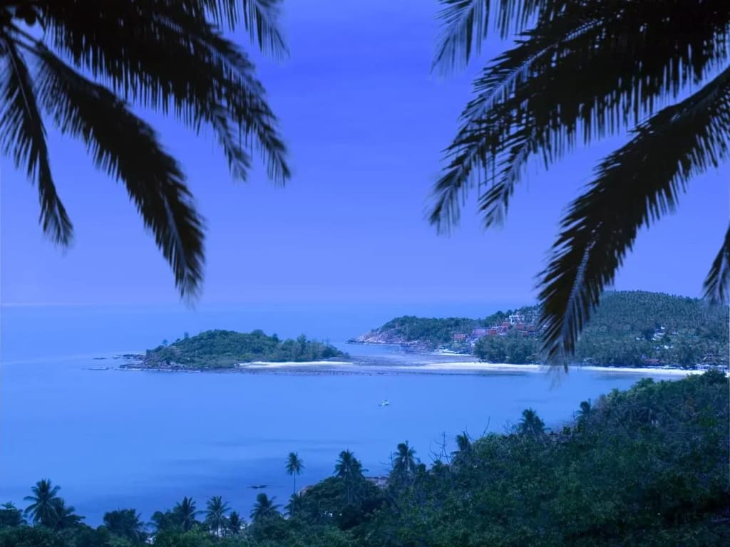 Paradise Island Estate - photo 18