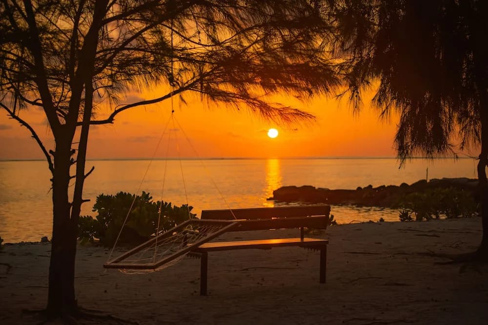 Gaafaru View Inn - photo 12