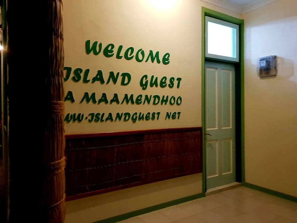 Island Guest - photo 14