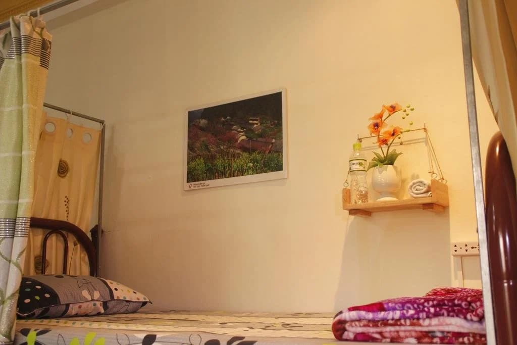 Trip Danang Hostel - photo 5