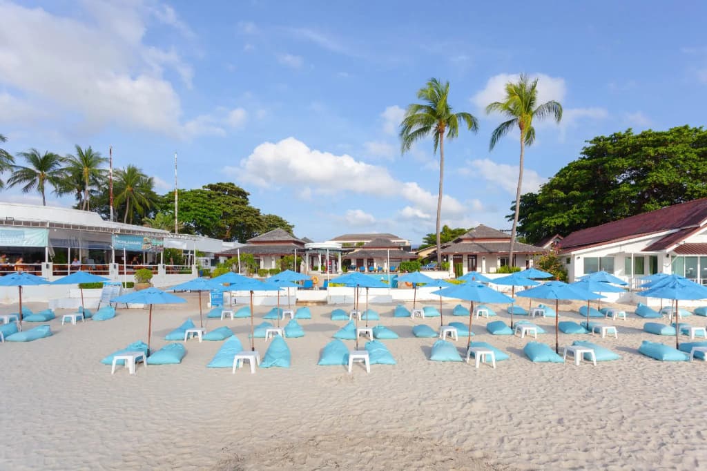 Al's Resort - photo 20