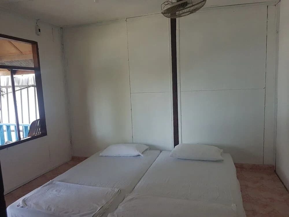 Back to Nature Hut - main photo