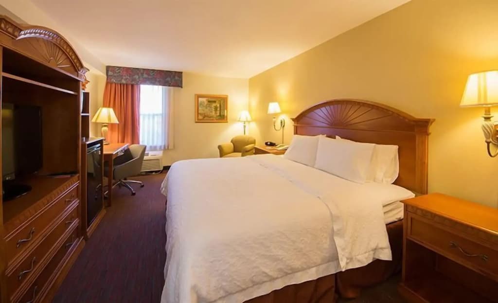 Orlando Palms Hotel - photo 5
