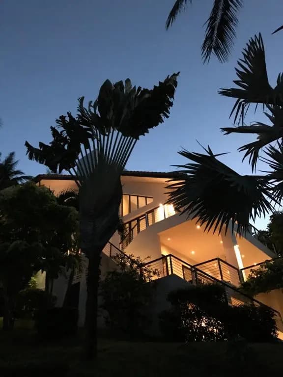 Wild Palms - photo 4