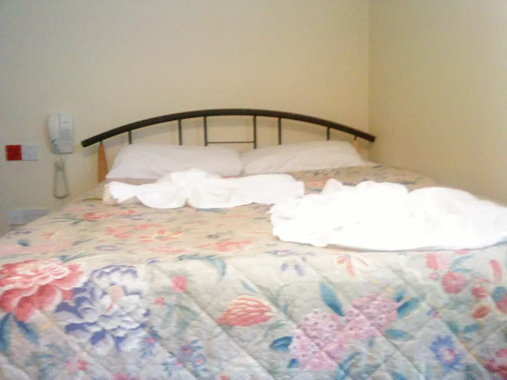 Hotel Sophia - photo 3