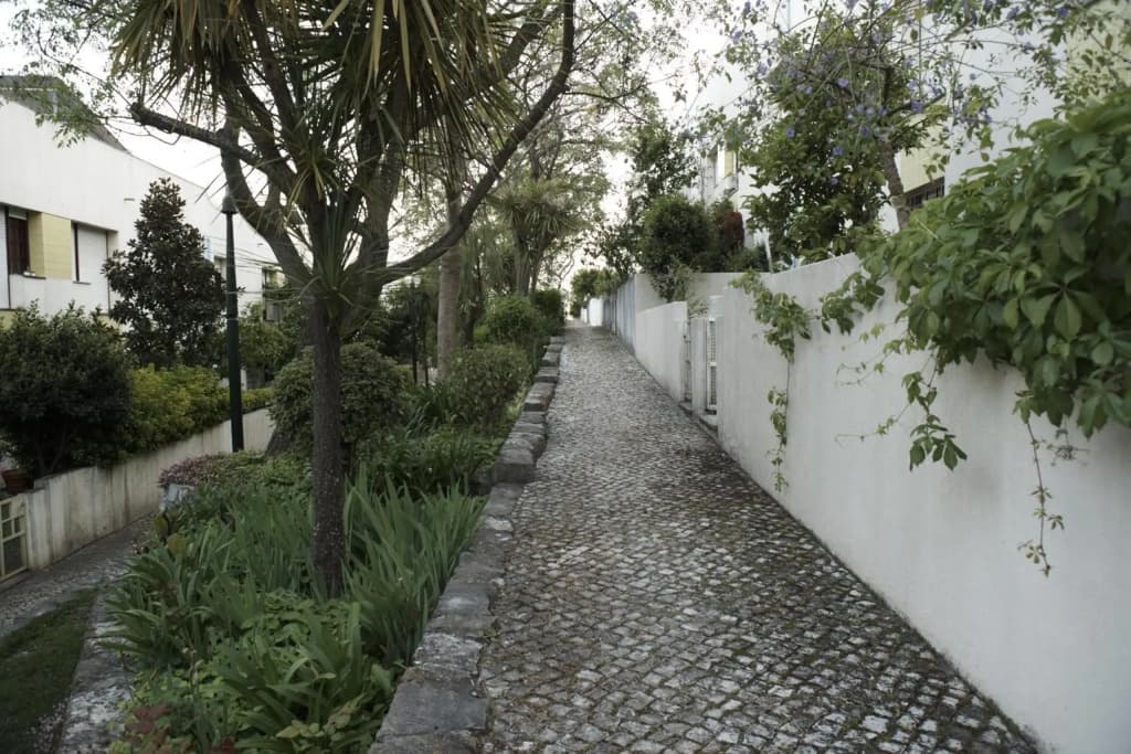 Happily Ever Lisbon - photo 15