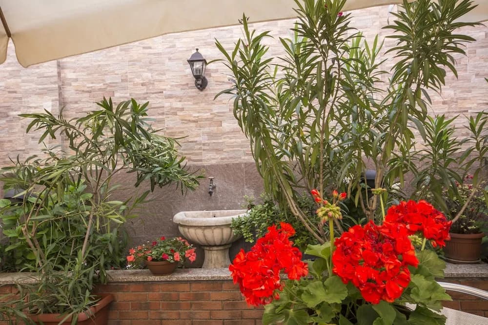 Hotel Vittoria - photo 16
