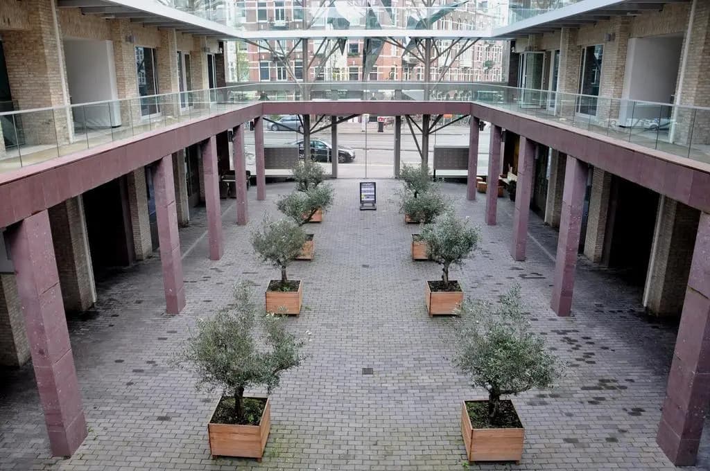 Hotel Mosaic City Centre - photo 14
