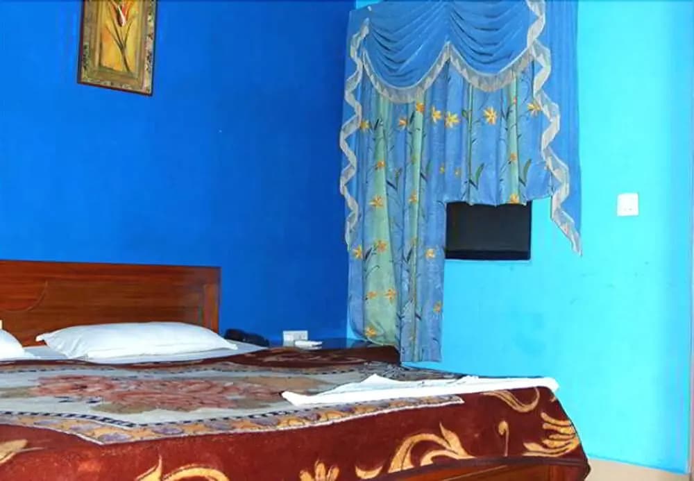 Ambica Deluxe Hotel - photo 4
