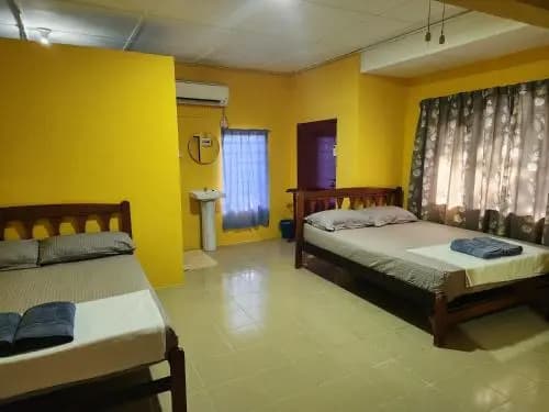 Gecko Guesthouse Langkawi - photo 12