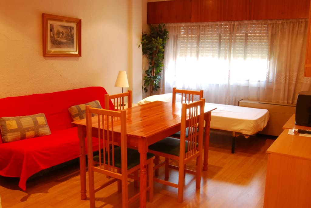 Apartamentos Goya 75 - photo 4