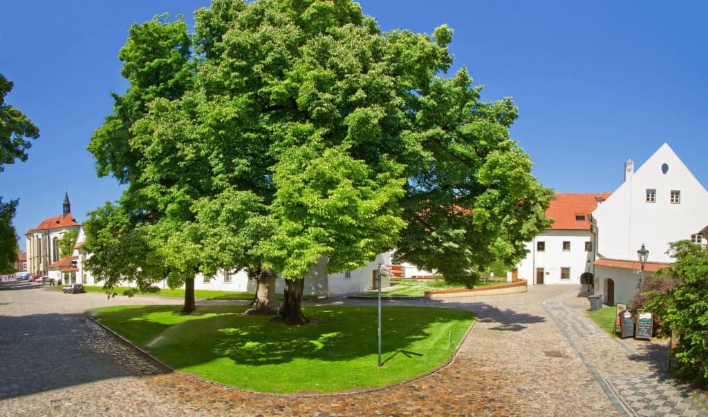 Hotel Monastery - photo 19