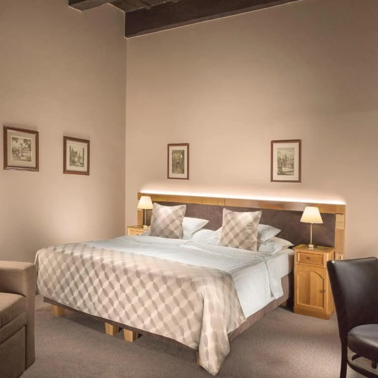 Hotel Pod Vezi - photo 27