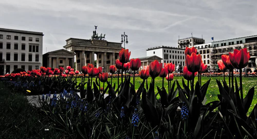BNB near Brandenburg Gate - photo 19