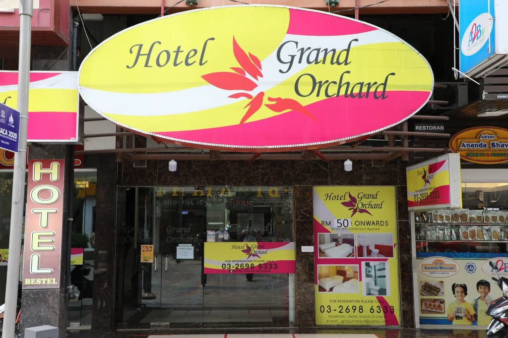 Grand Orchard Wings - photo 10