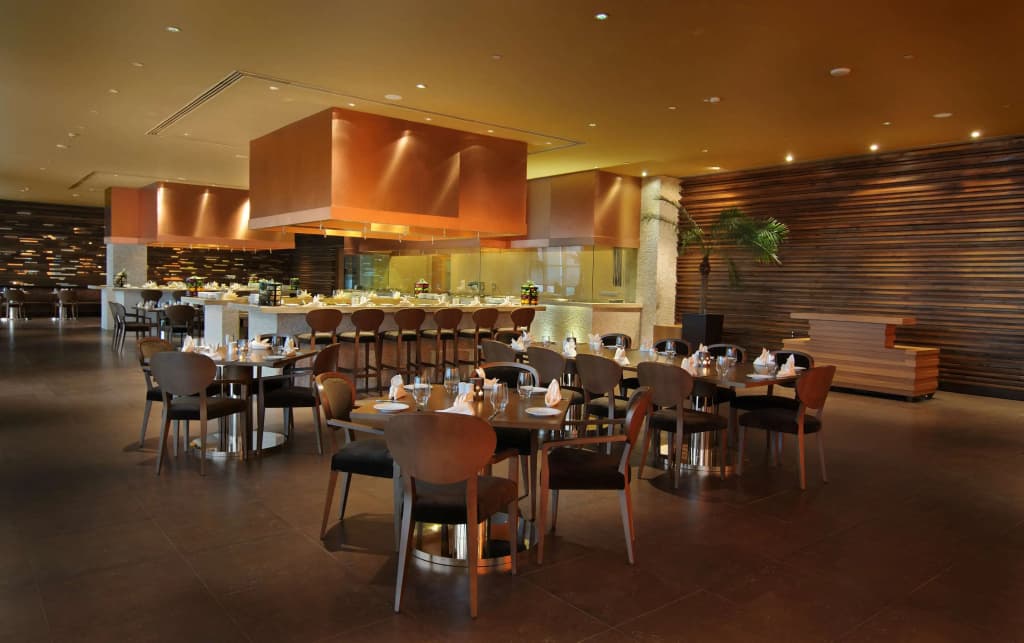 Radisson Blu Hotel New Delhi Paschim Vihar - photo 15