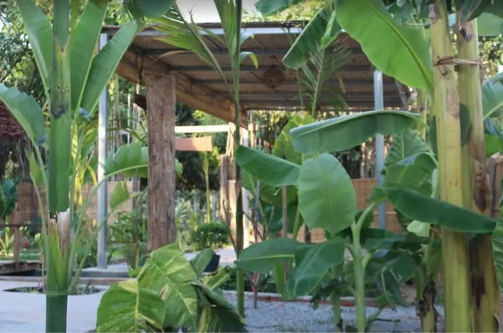 The Green Home - photo 20