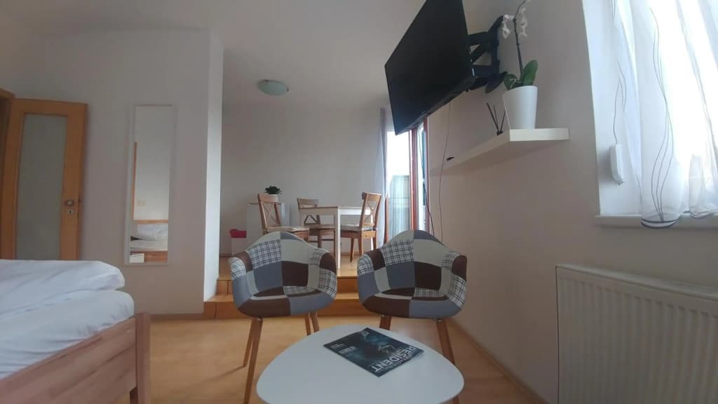 Vitkov Park Apartment - photo 11