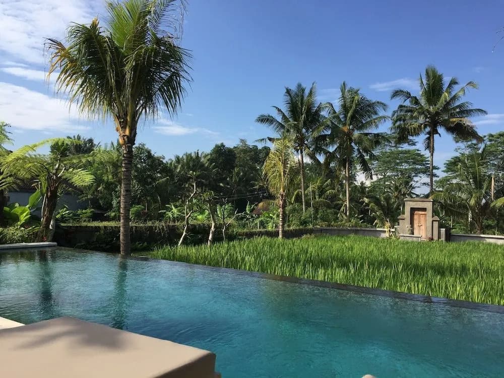 The Suris Ubud - photo 11