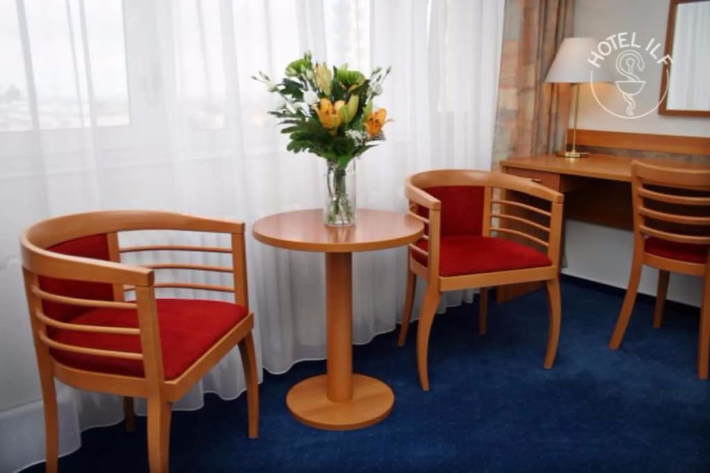 Hotel ILF - photo 29