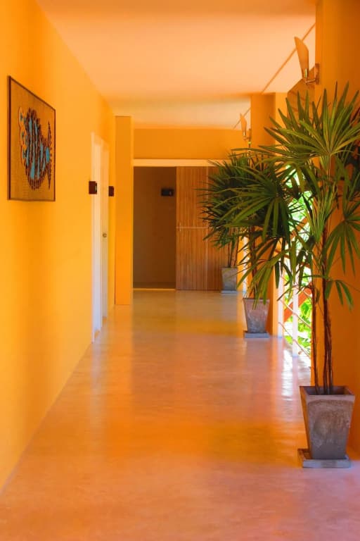 Palm Coco Mantra - photo 15