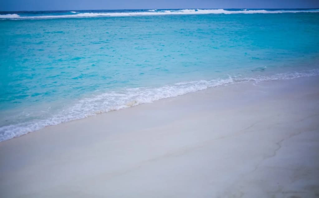 Relax Beach Inn - photo 20
