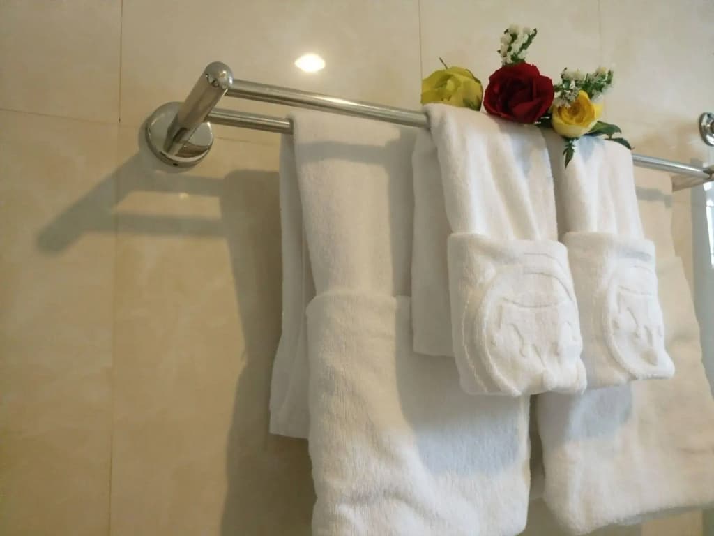 Queen Da Nang Hotel - photo 10
