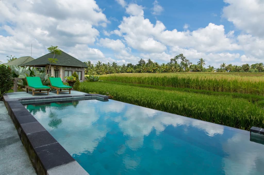 Cahaya Ubud Villa - photo 18