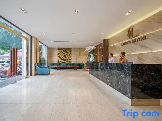 Lupin Boutique Hotel Danang - photo 5