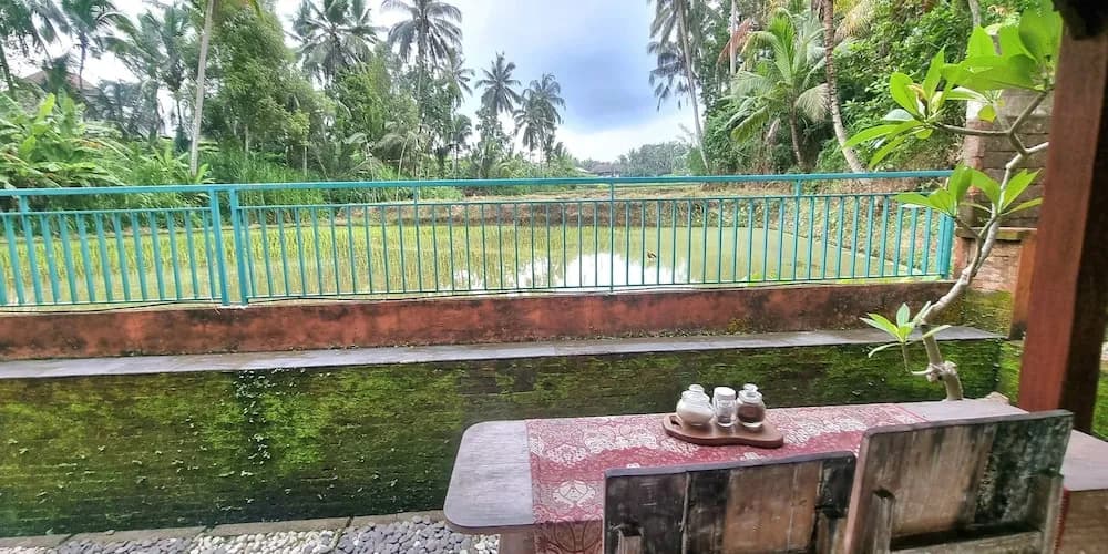 Pandawa Villas Ubud - photo 45