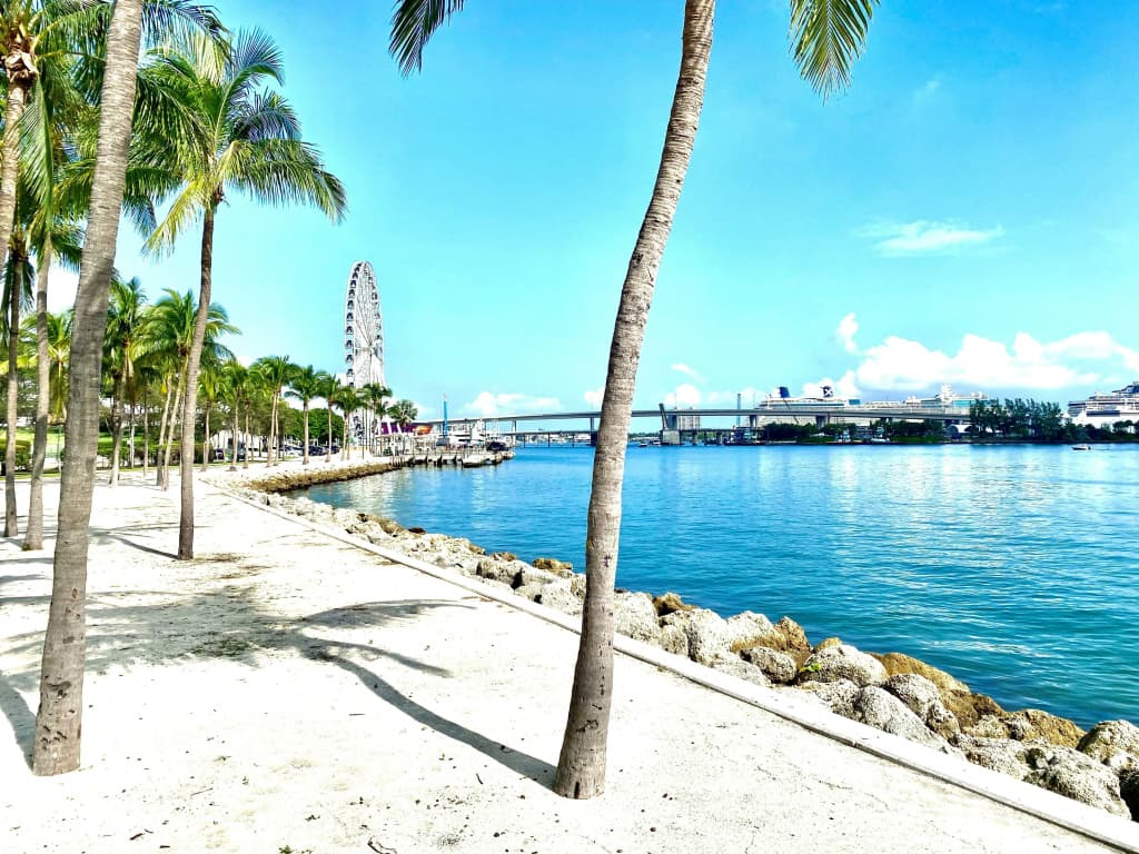 Hotel Indigo Miami Brickell by IHG - photo 46