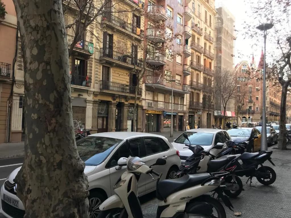 Rosselló Apartment - photo 15