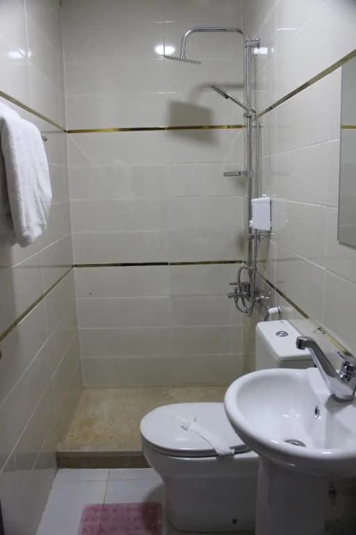 Abdeen Palace Hotel - photo 28