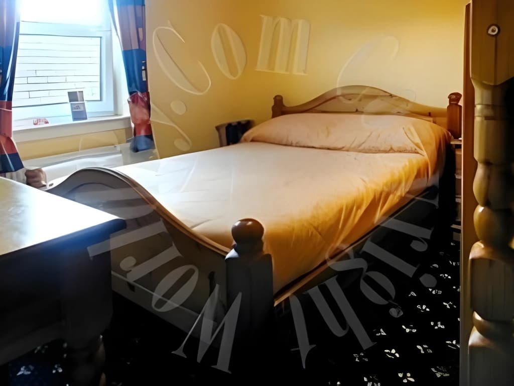 Twin Lions Hotel - photo 4