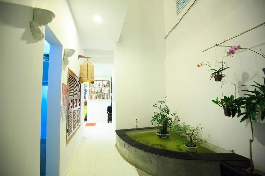 Mimosa Hotel - photo 11