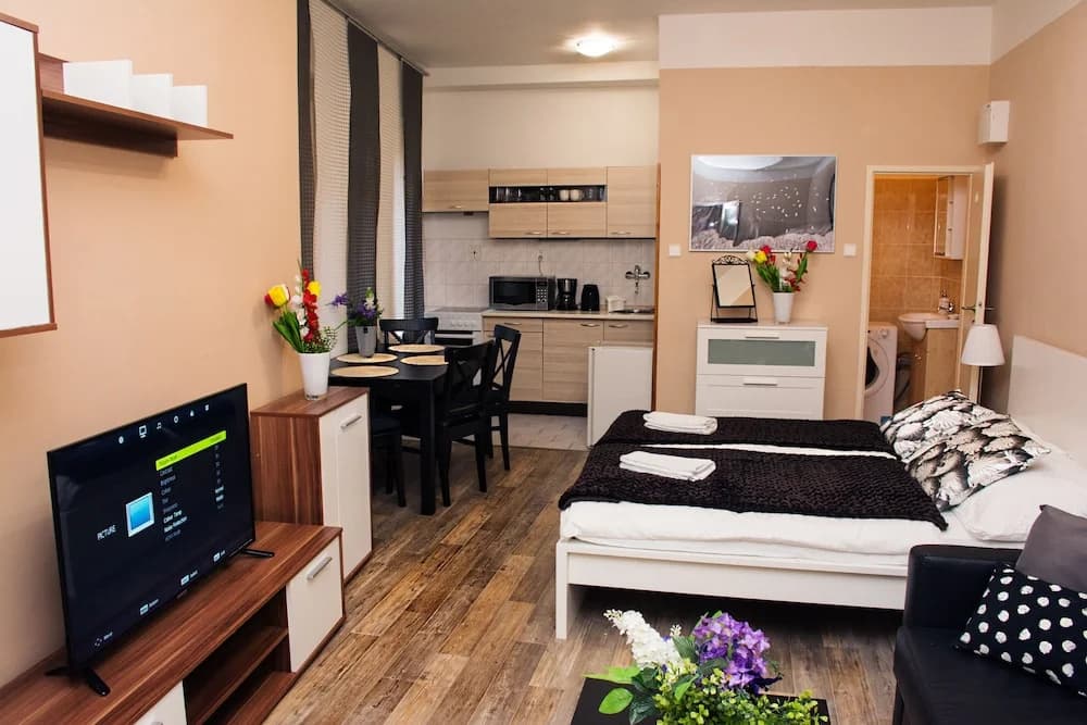 Wenceslas Square Apartment - photo 5