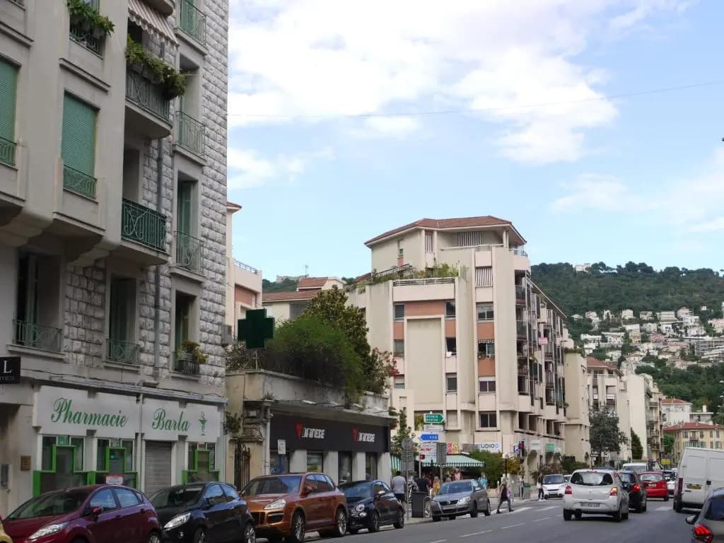 Barla 3 - a Spacious One Bedroom Apartment Near Place Garibaldi - photo 1