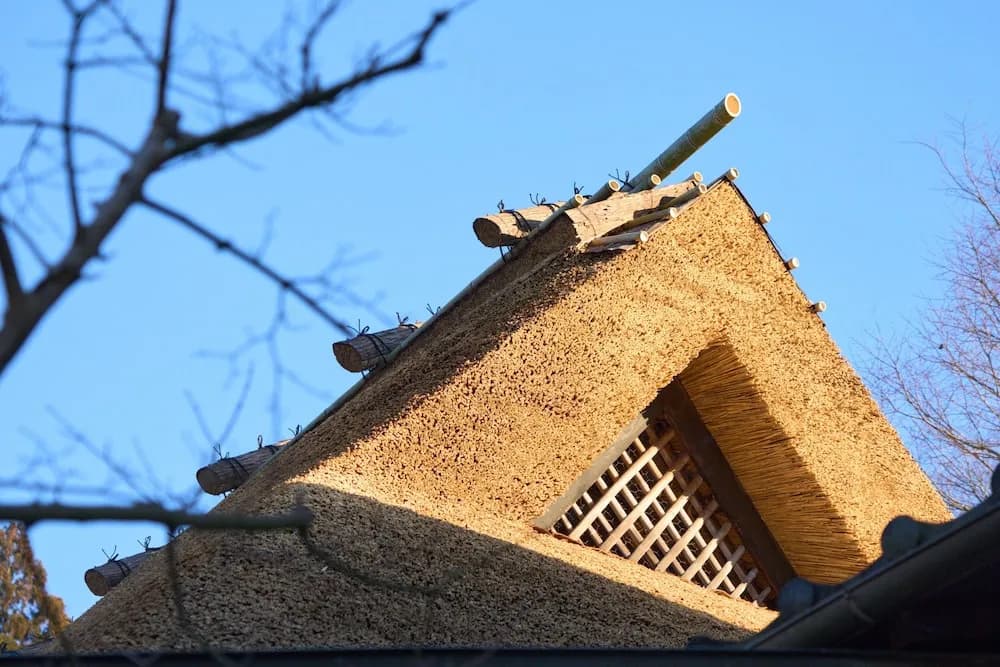 Hachikan - photo 1